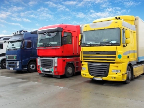 İstanbul Murgul Nakliye